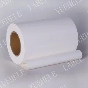 egg-shell paper