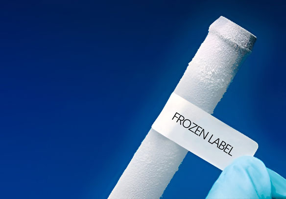 Frozen glue label